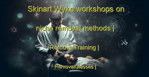 Skinart Wyke workshops on niche removal methods | RemovalTraining | RemovalClasses | SkinartTraining-United Kingdom